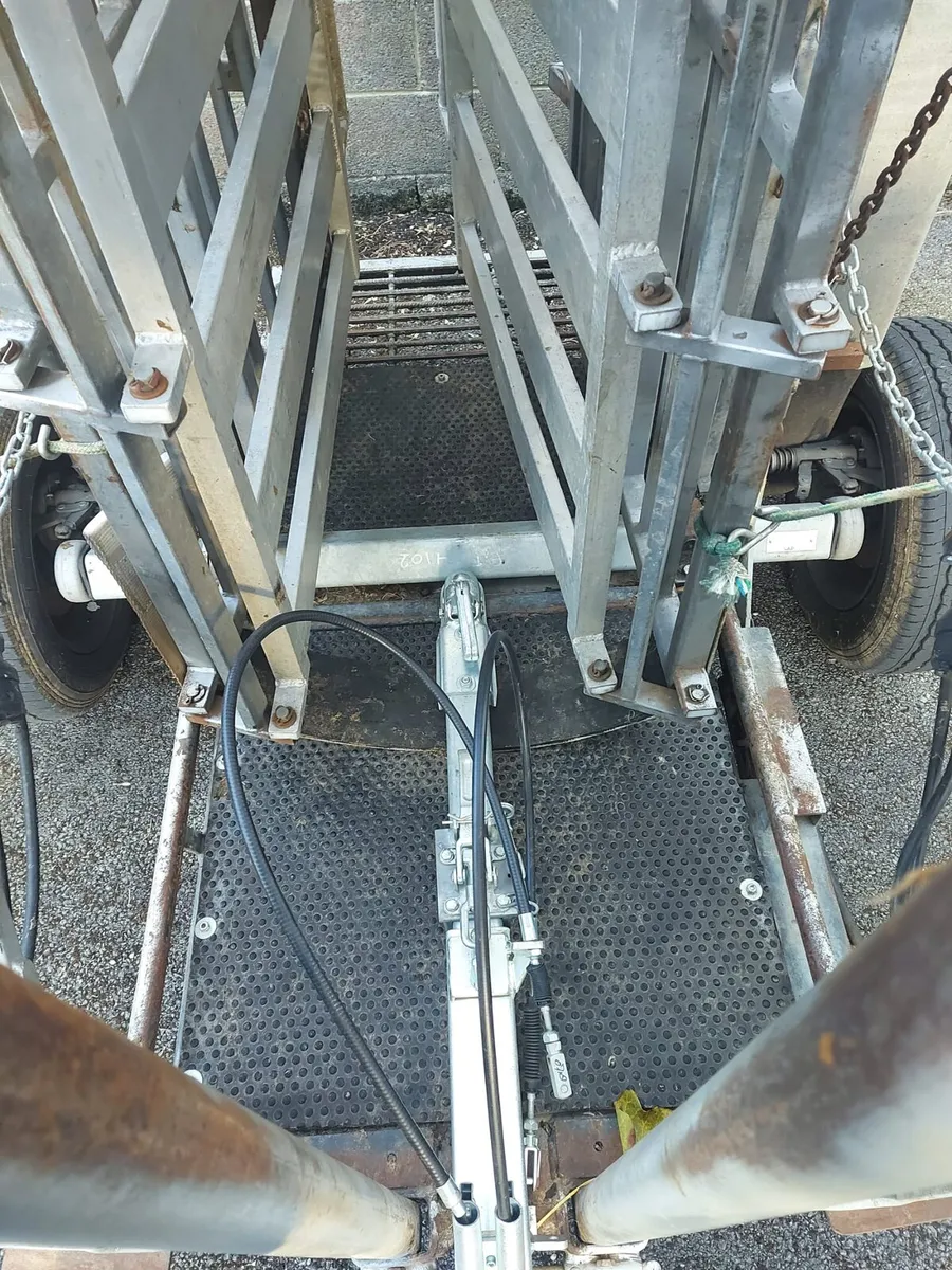 Wopa hoof trimming crate - Image 4