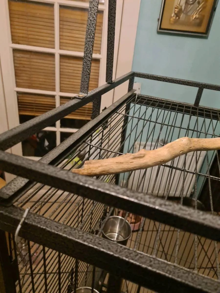 Parrot cage - Image 3