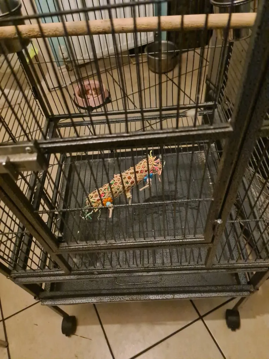 Parrot cage - Image 4