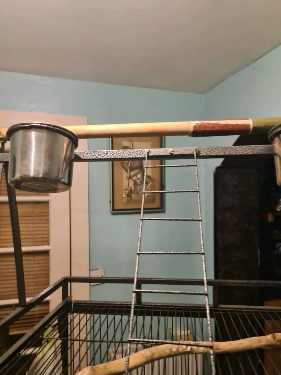 Parrot cage - Image 1