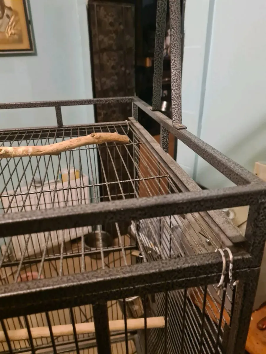 Parrot cage - Image 2