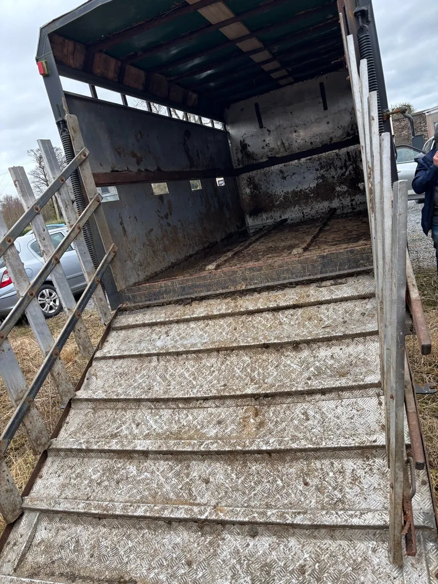 01 volvwagon crafter 16 foot cattle truck - Image 4