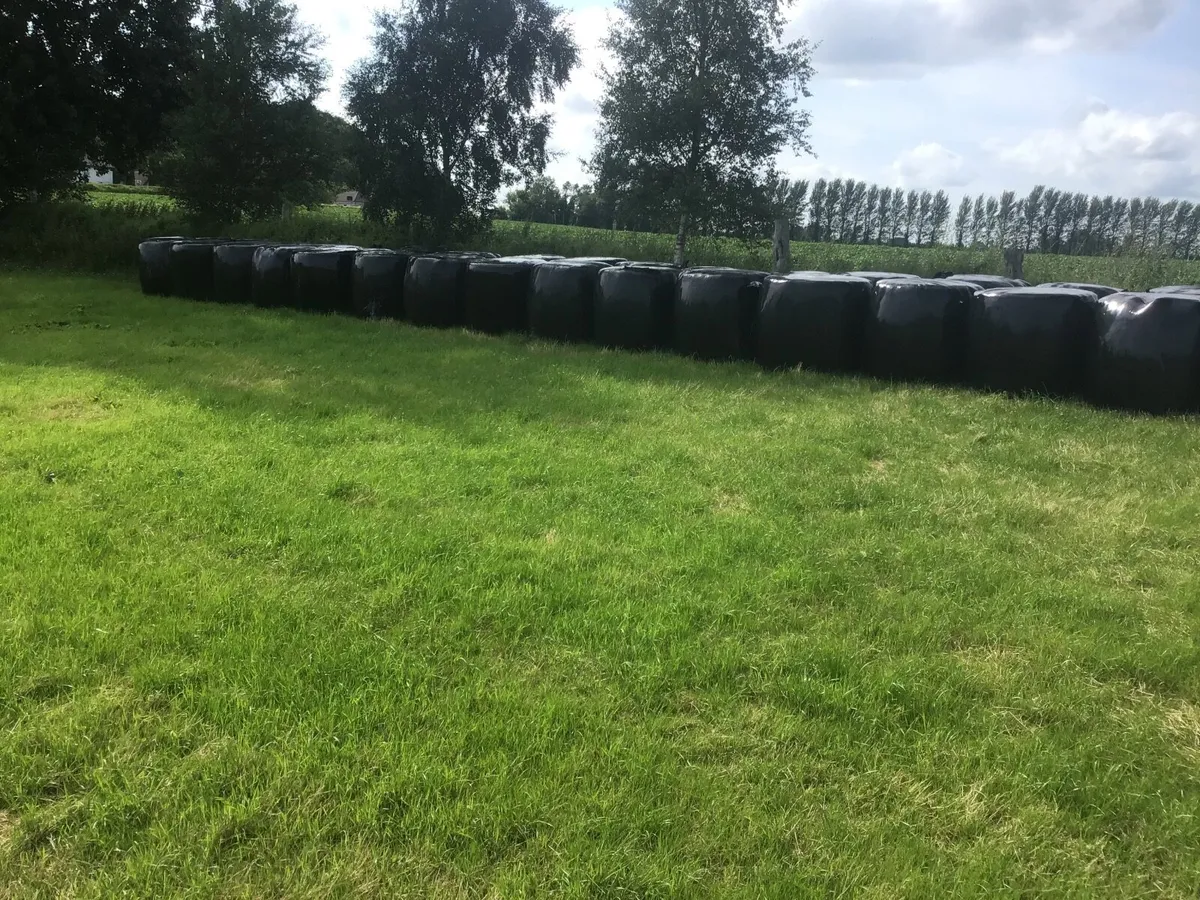 bales of silage - Image 4