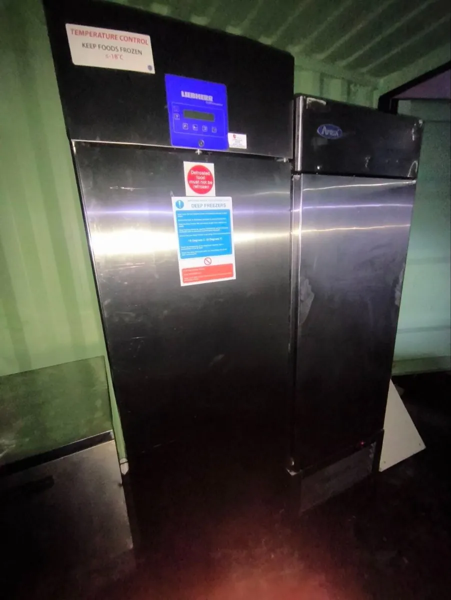 Fridge and Freezer - Image 1