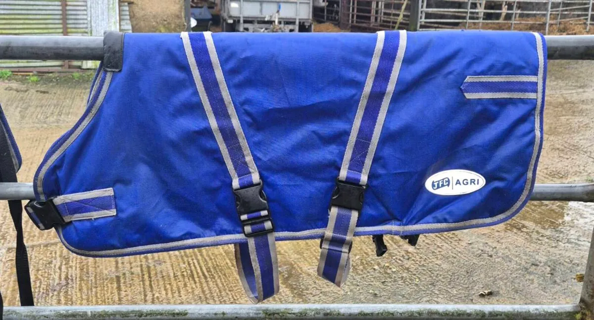 Calf Jackets - Image 3