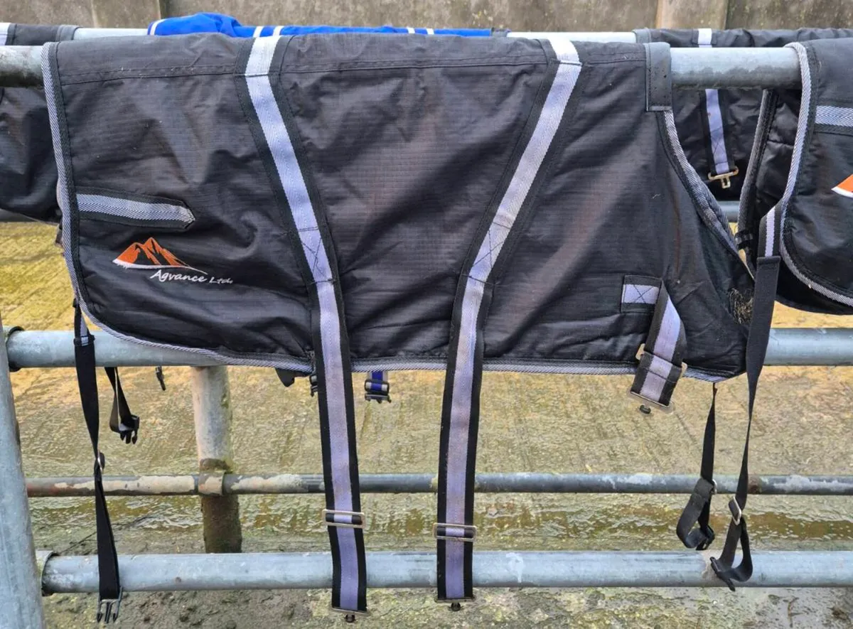 Calf Jackets - Image 1