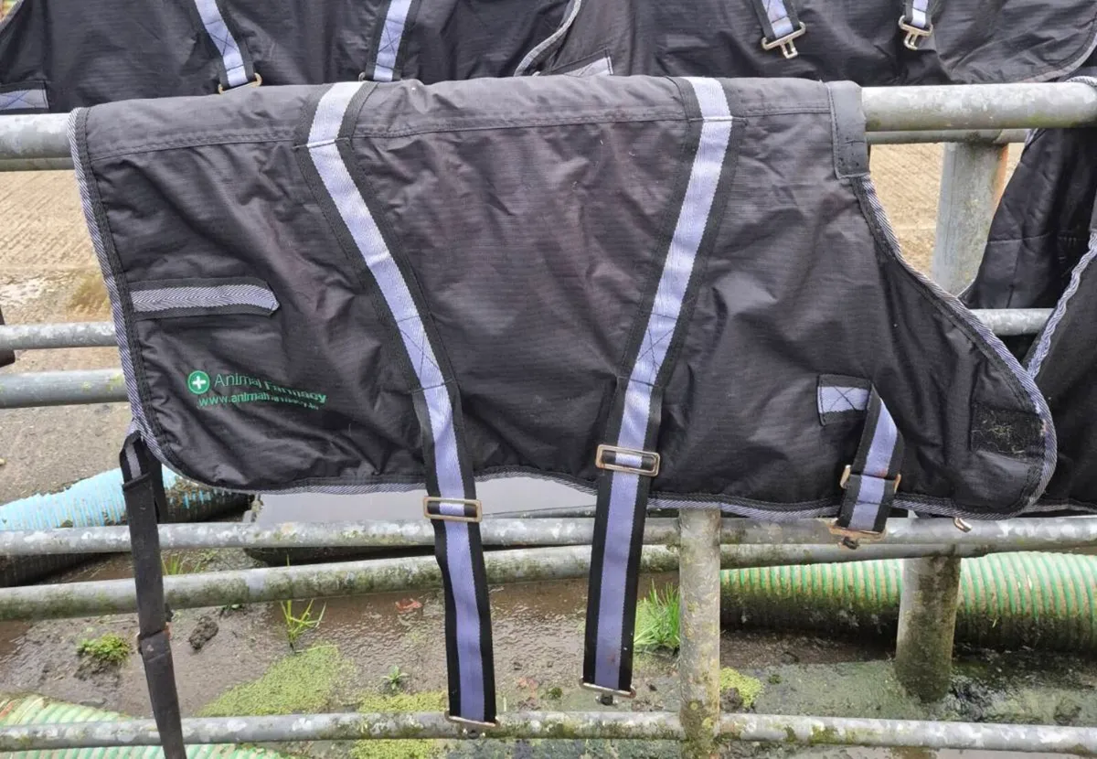 Calf Jackets - Image 2