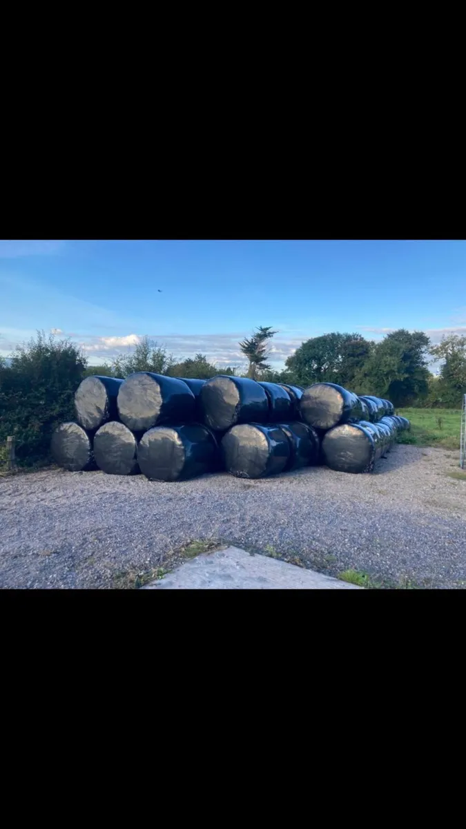 Silage Bales