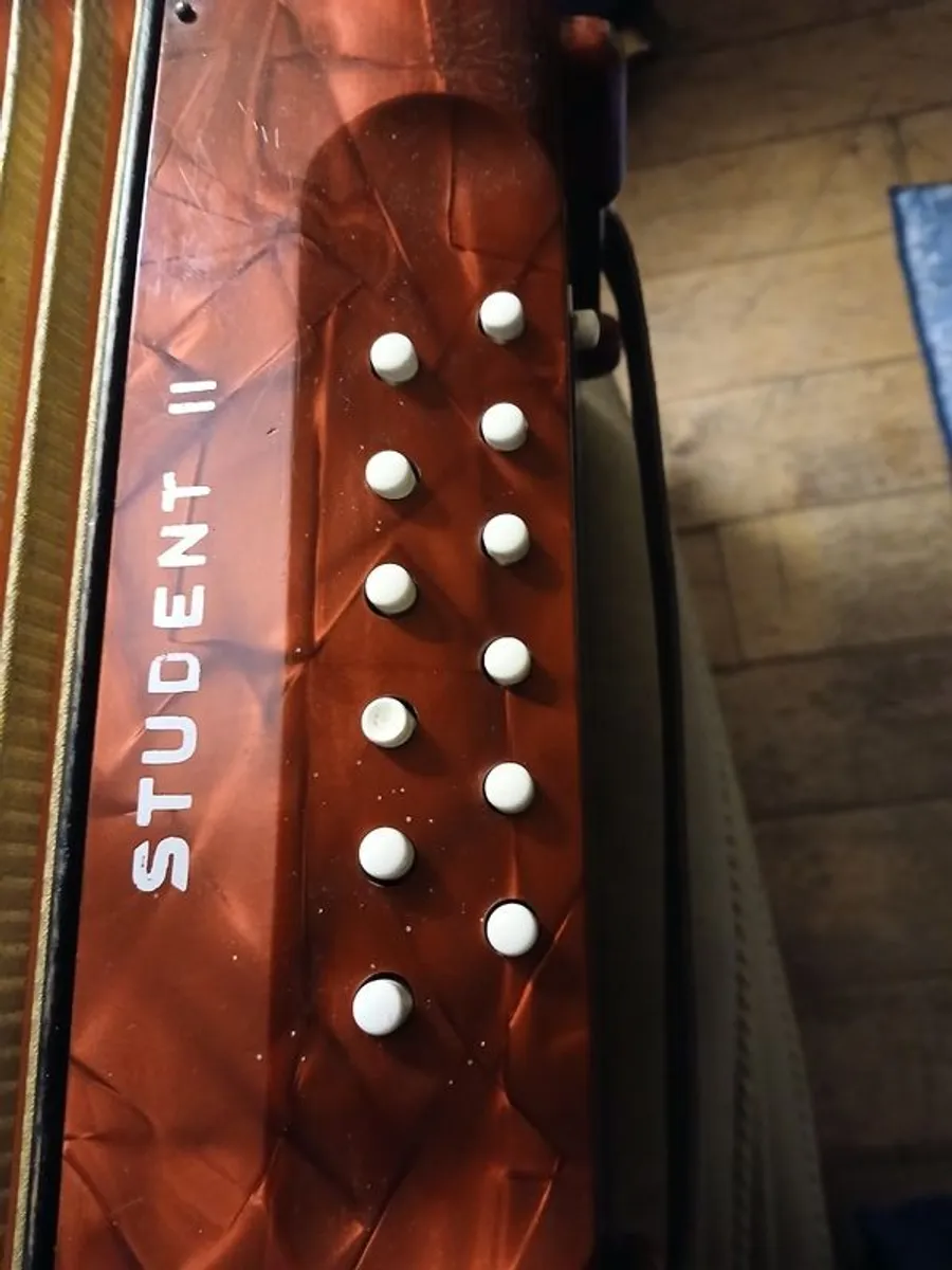 Piano accordian - Image 2