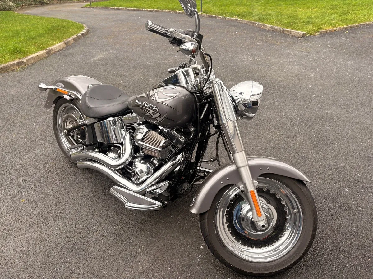 Harley Davidson Fatboy full custom - Image 2