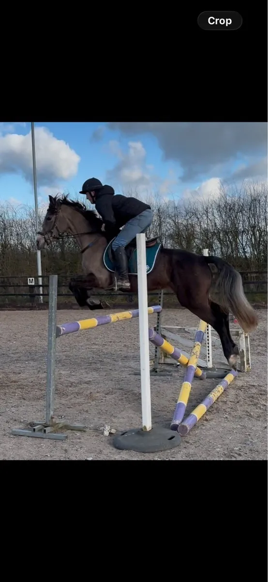 15.1 Connie X - Image 1