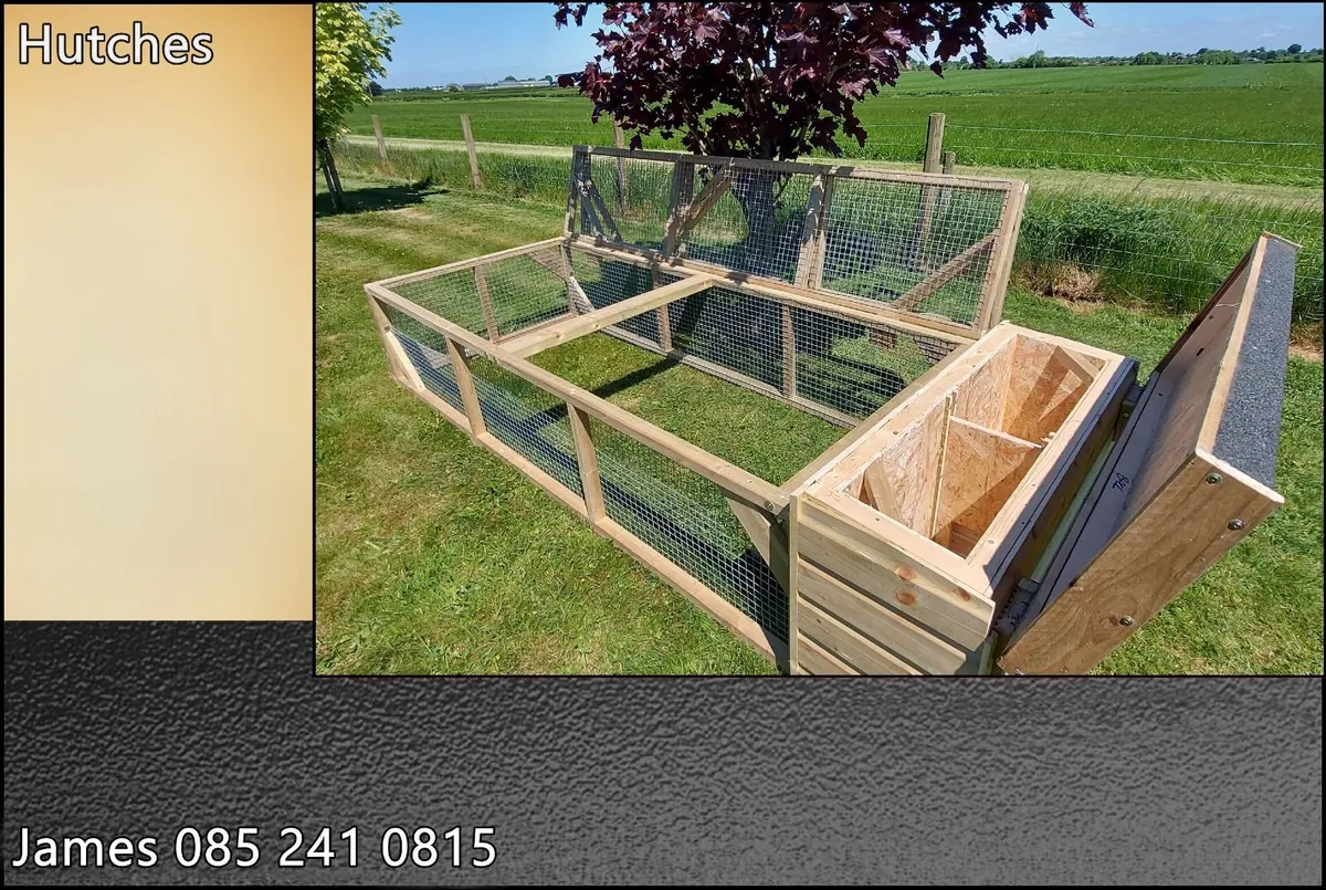 Guinea Pig / Rabbit & Cat Houses - Image 4