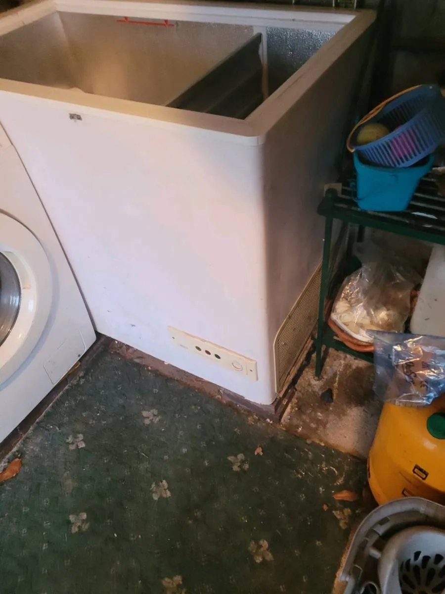 Deep Freezer - Image 1