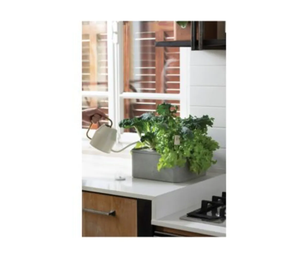 Farm Boxes are the best solution for growing plant - Image 1