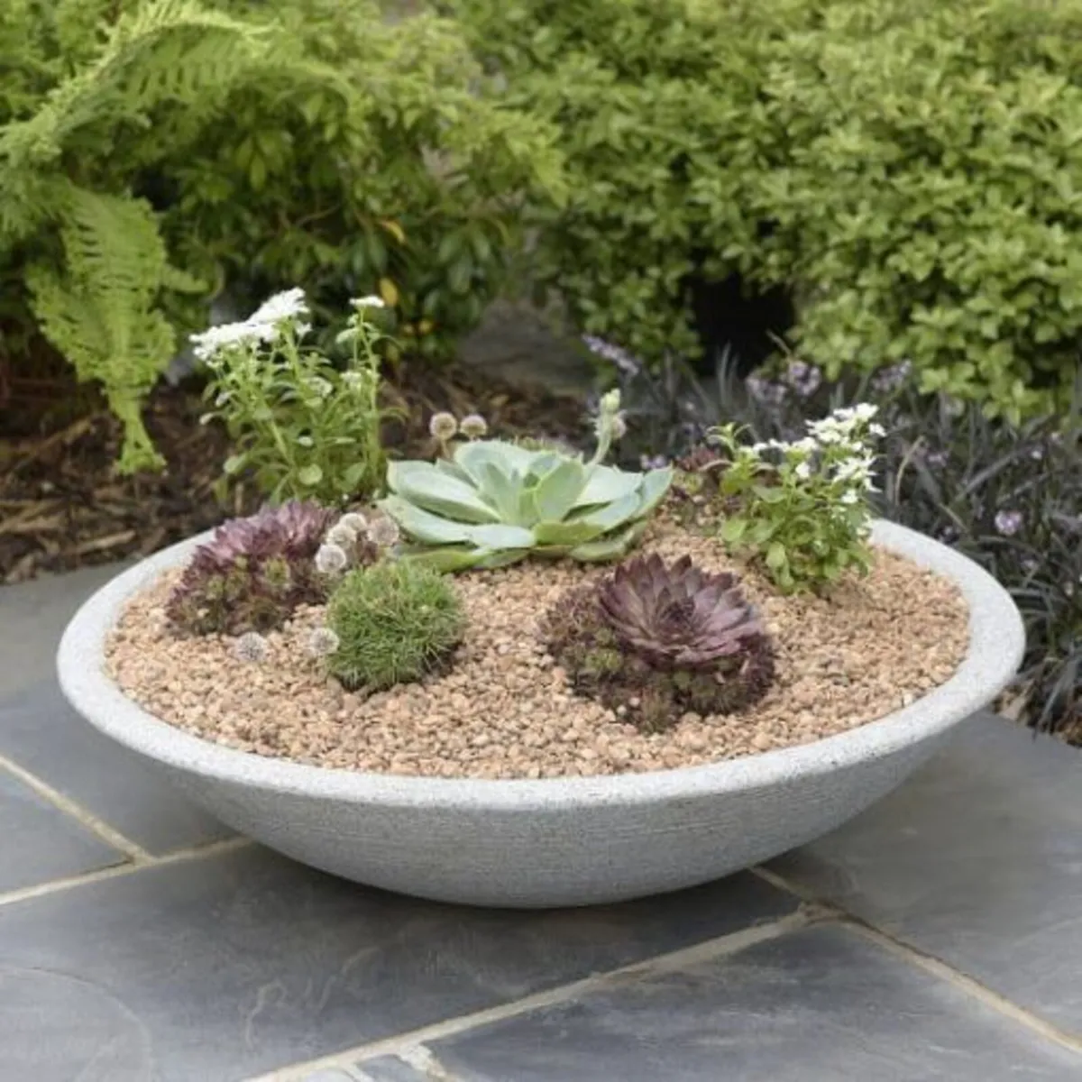 Varese Low Bowl Planter - Image 2