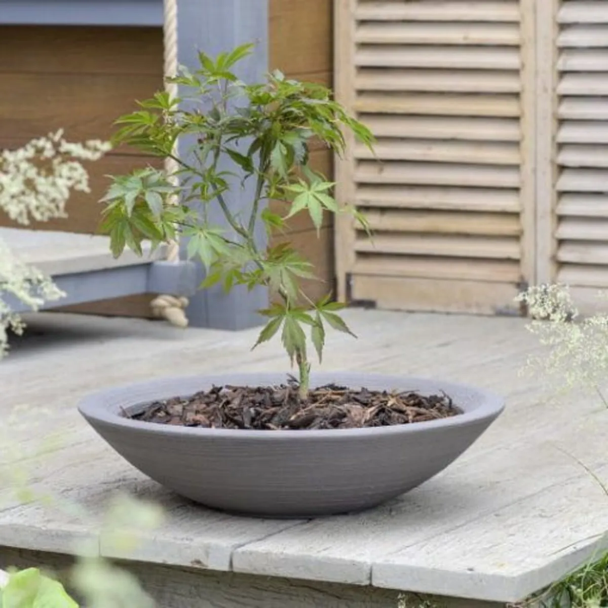 Varese Low Bowl Planter - Image 1
