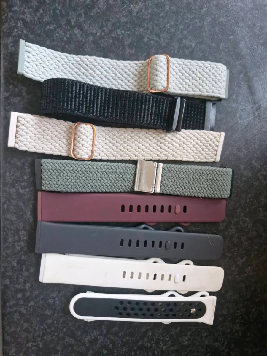 Fitbit Sense 2 - Image 4