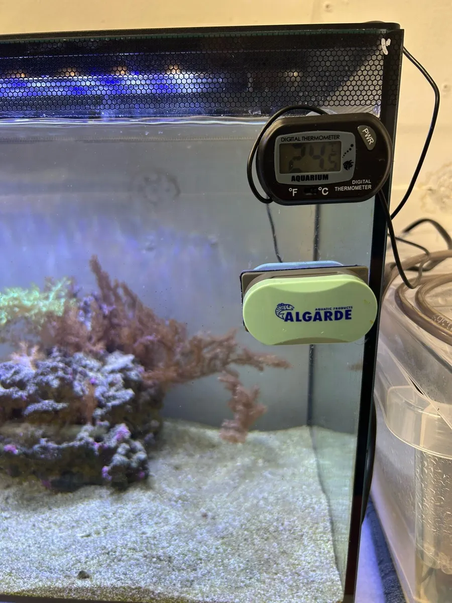 *Sold pending collection* - Image 4