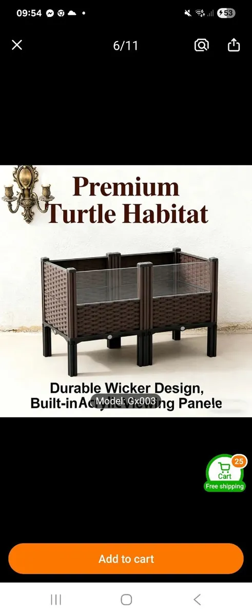 Tortoise 🐢 - Image 1