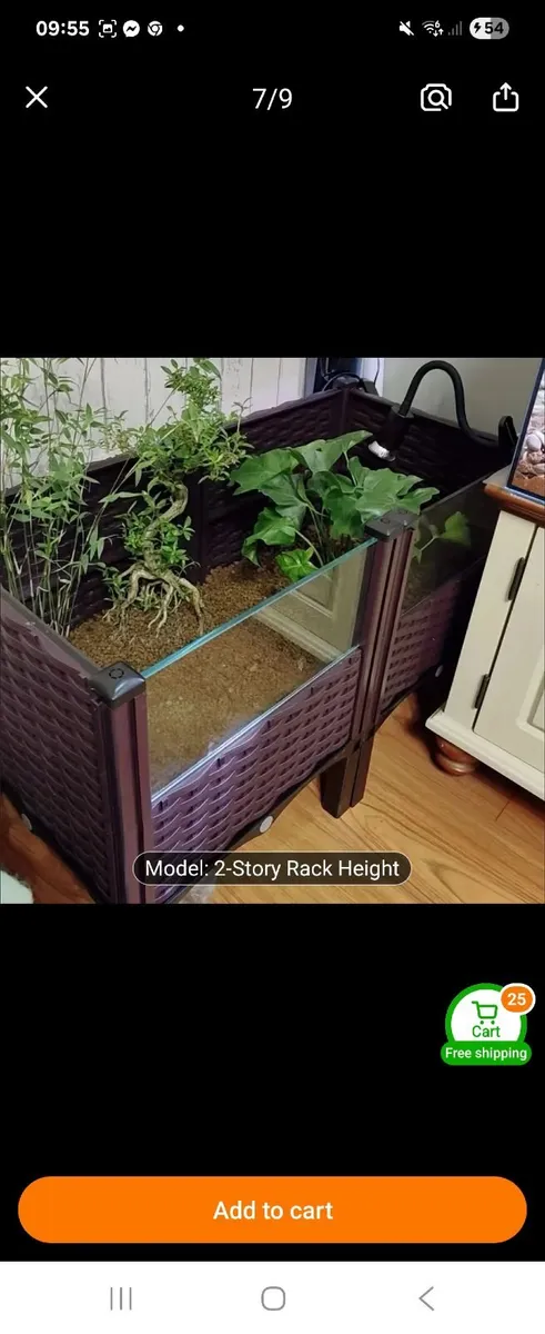 Tortoise 🐢 - Image 2