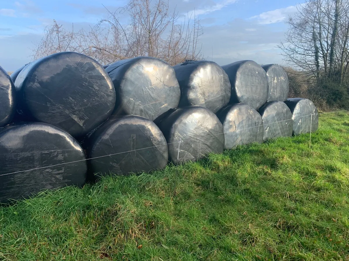 Silage & haylage - Image 1