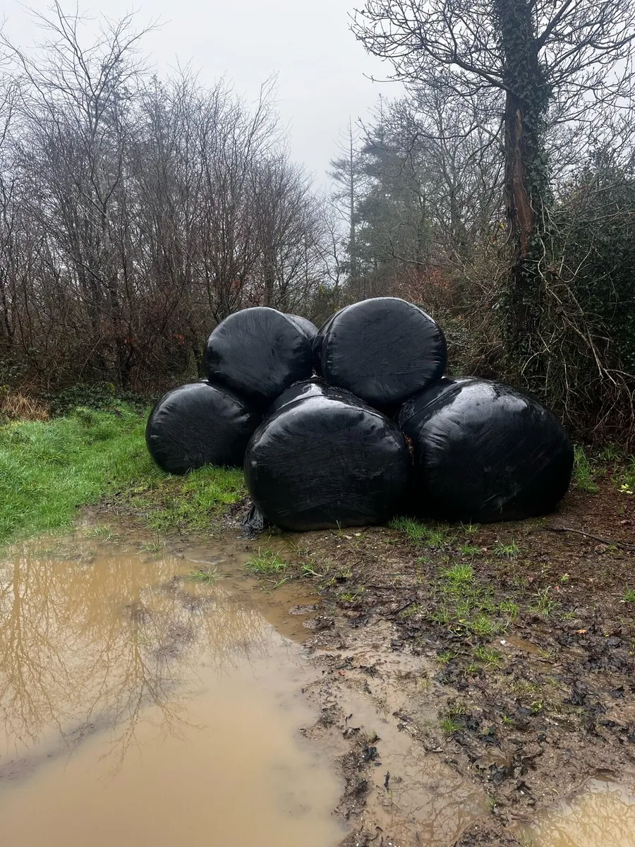 Bale silage and hay - Image 1