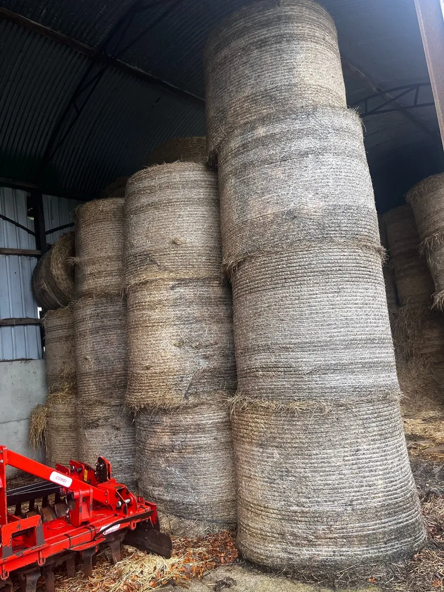 Bale silage and hay - Image 3