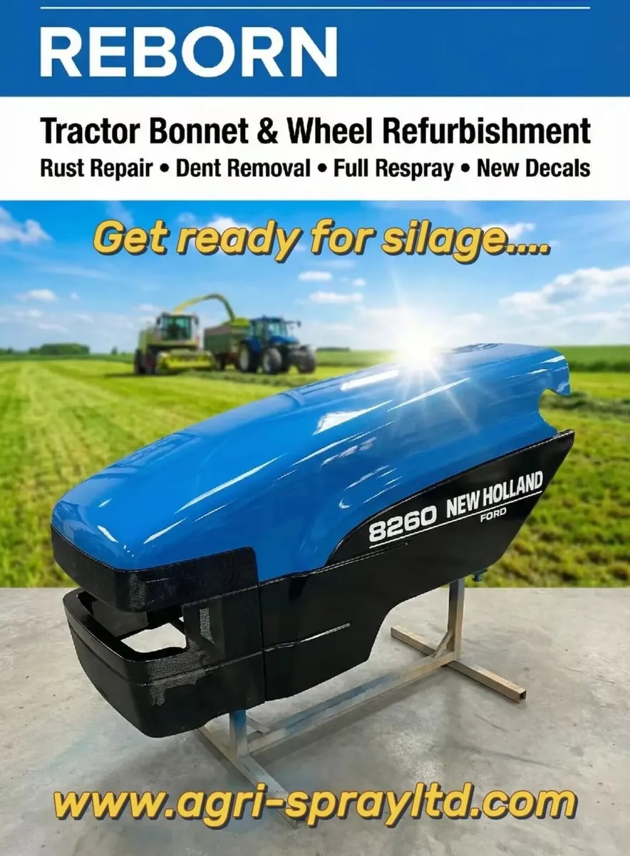 Bonnet Restoration - Image 1