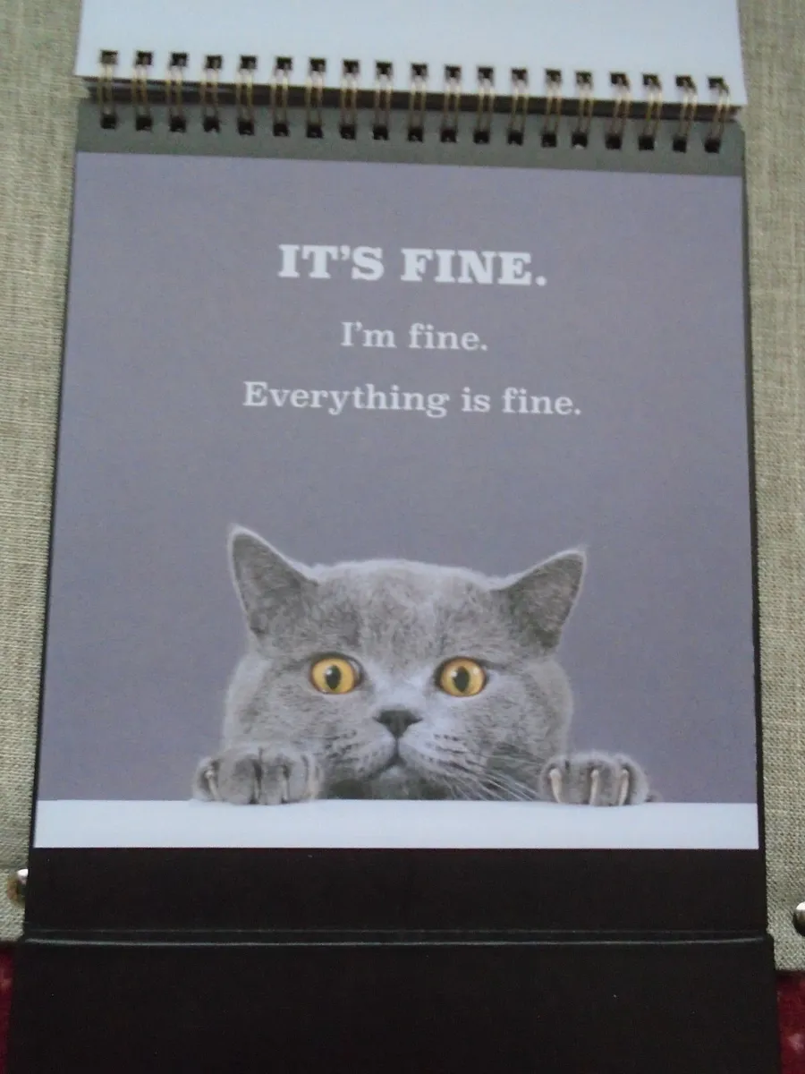 Cat book, Flip book, Gift - Image 3