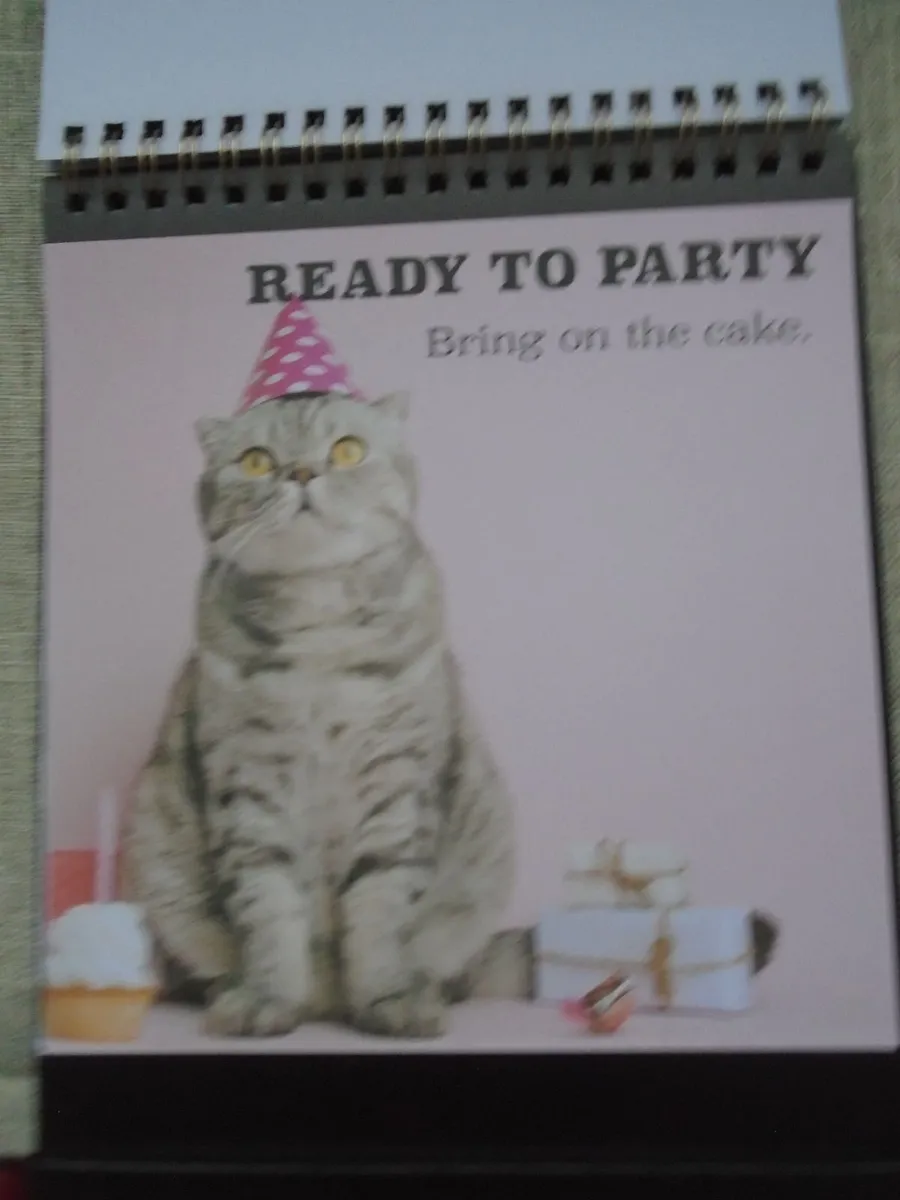 Cat book, Flip book, Gift - Image 2