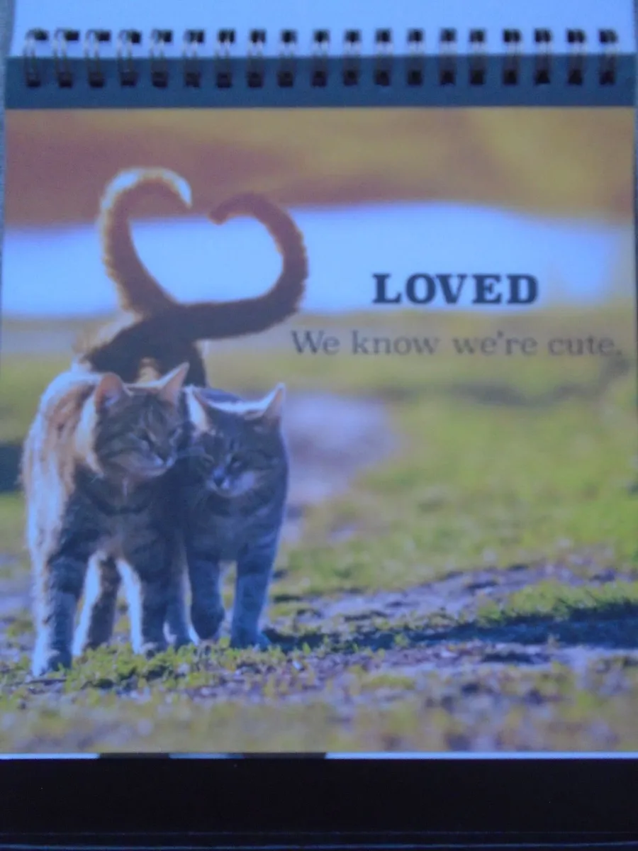 Cat book, Flip book, Gift - Image 4