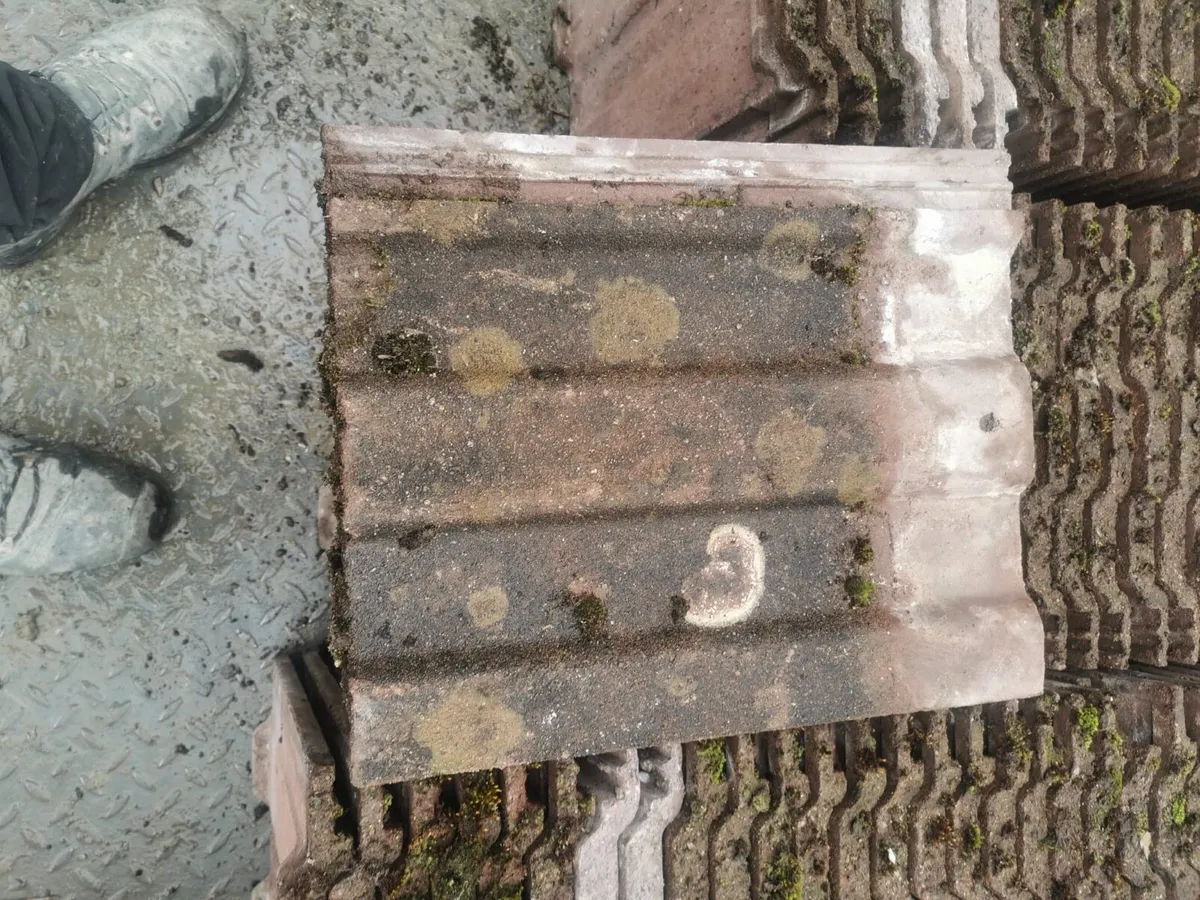 Roof tiles - Image 2