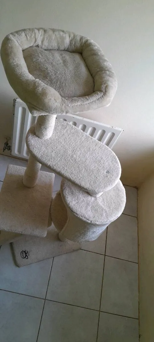 Cat climbing tree - Image 4