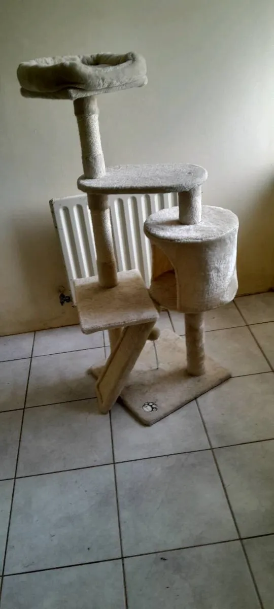 Cat climbing tree - Image 1