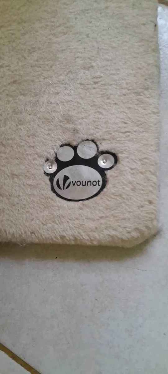 Cat climbing tree - Image 2