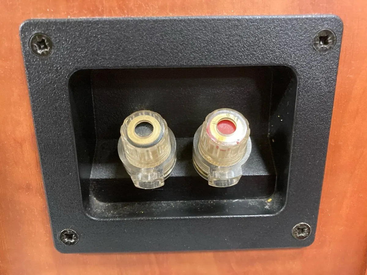 Dali Speaker Pair - Image 3