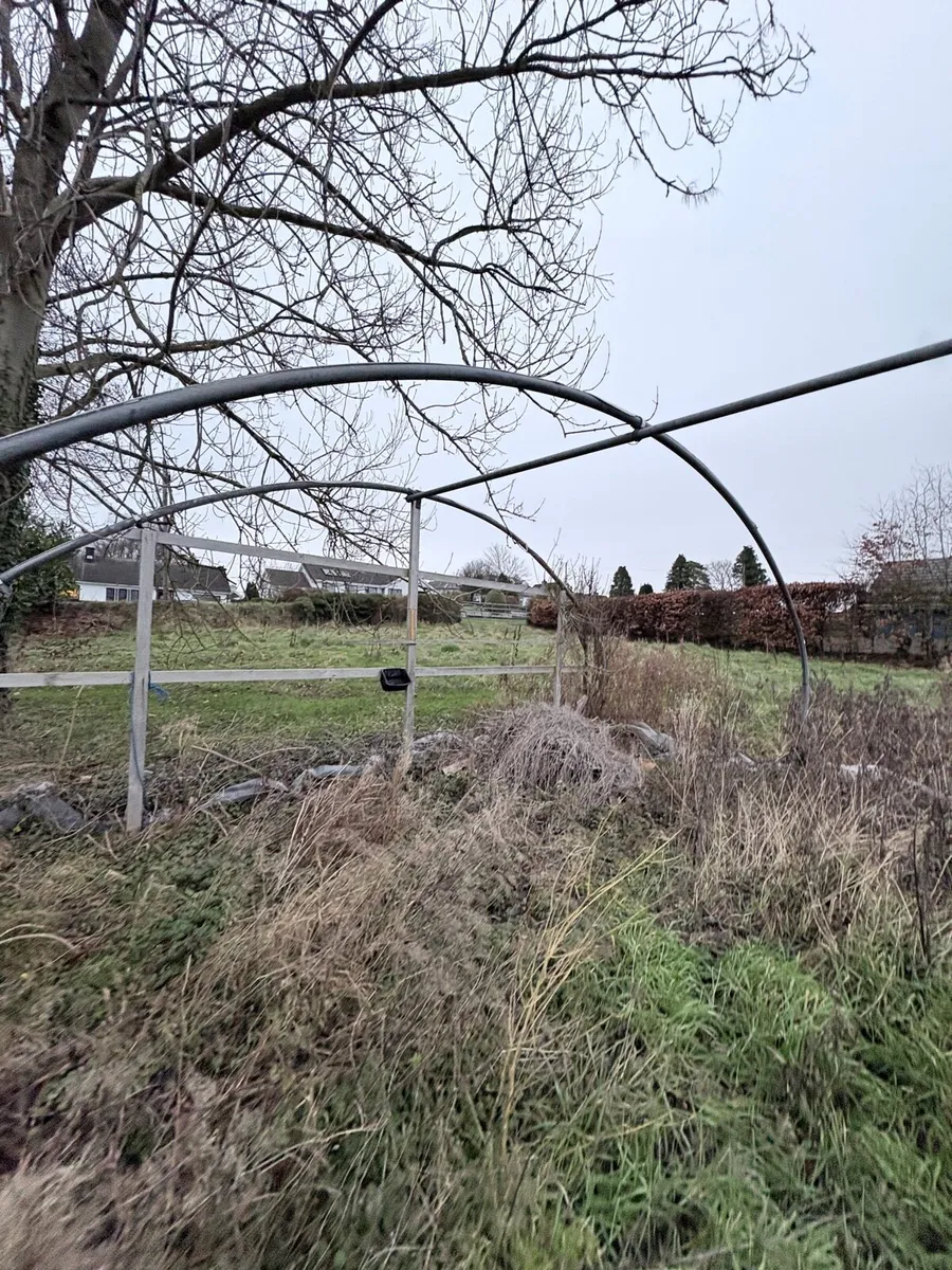 Polytunnel - Image 1