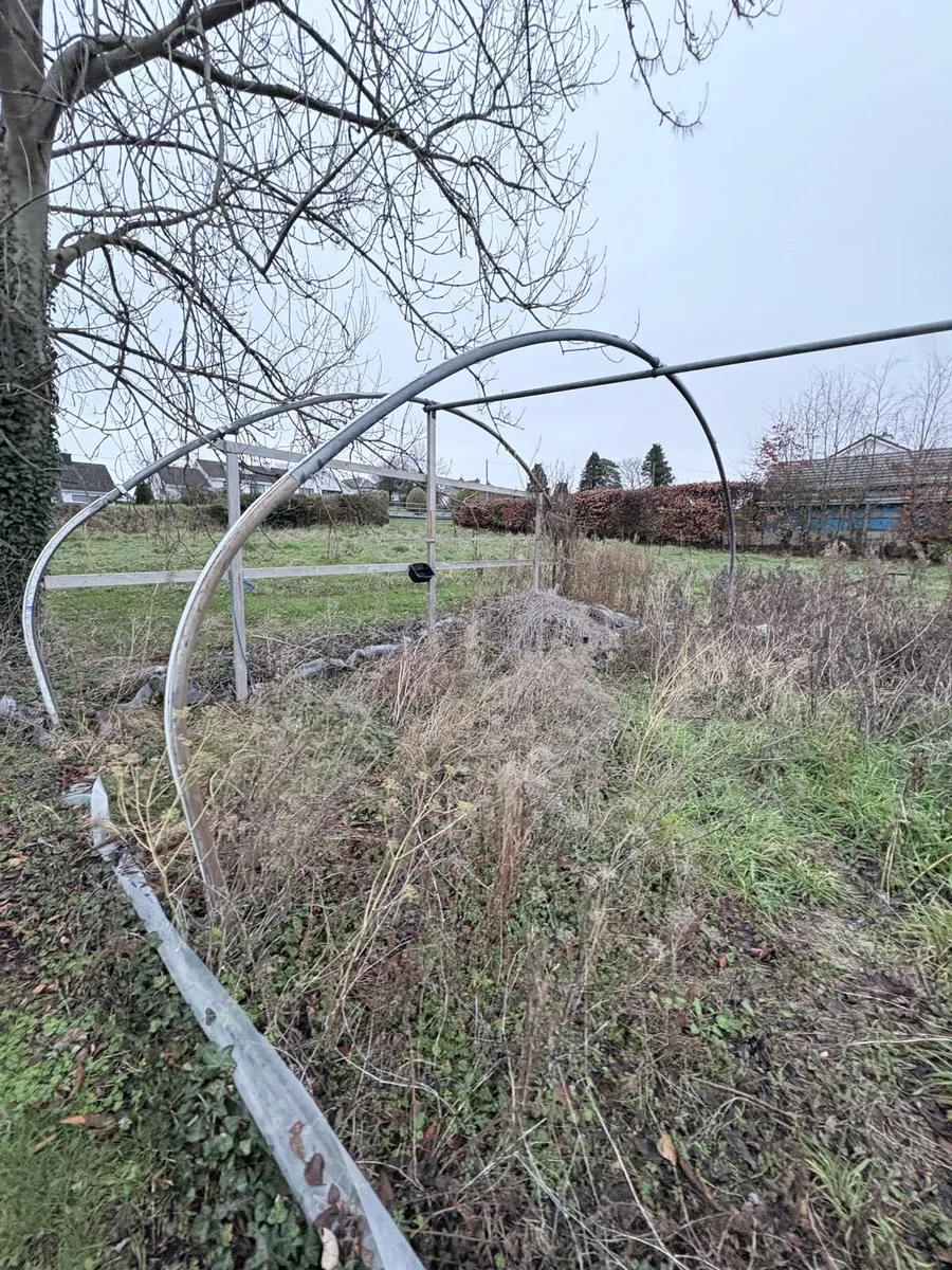 Polytunnel - Image 4