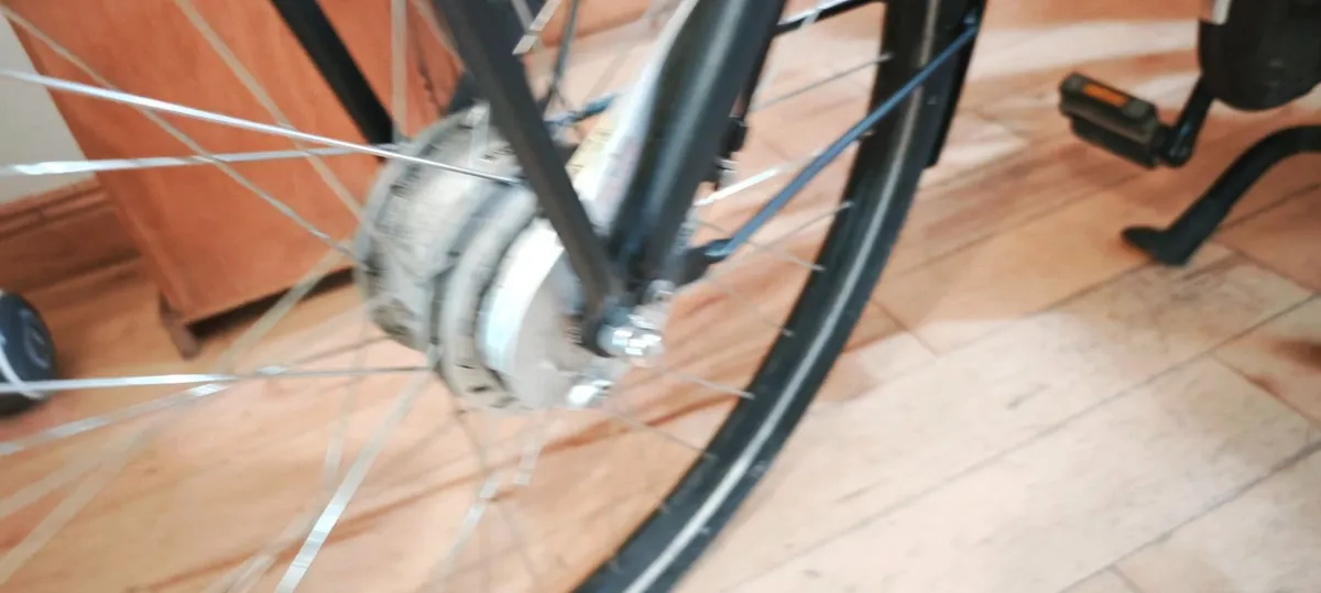 cargo ebike cartina u4 - Image 3