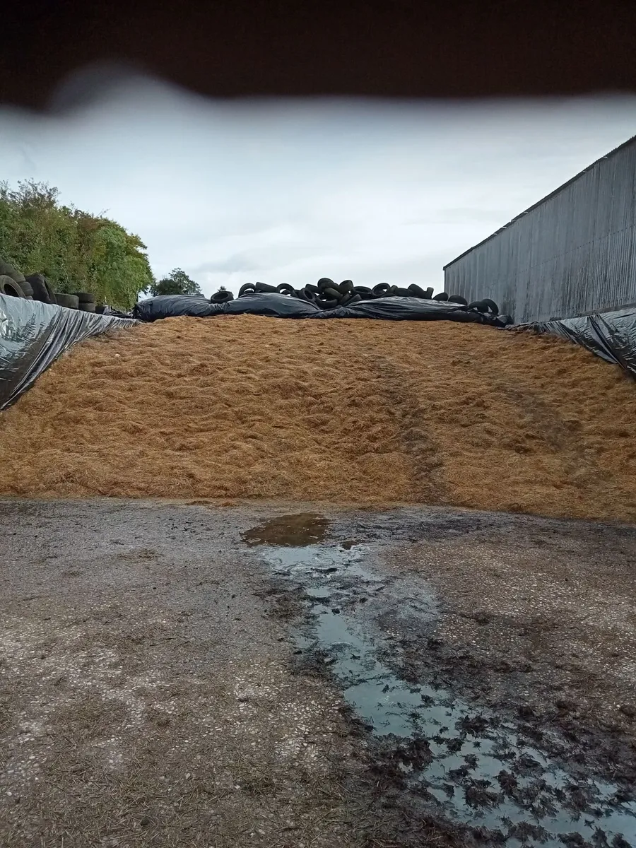 Pit of silage - Image 1