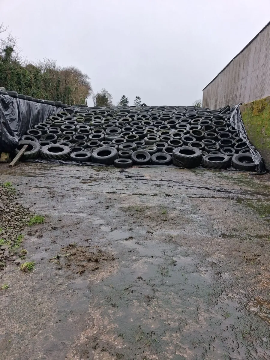 Pit of silage - Image 2