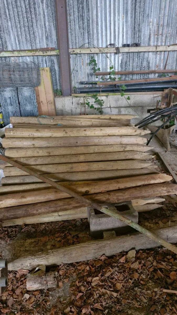 Posts and sheep wire for sale - Image 1