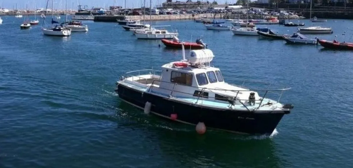 Ashes at Sea partners wanted - Image 4