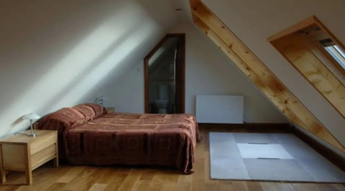 Attic conversion/Garage conversion - Image 1