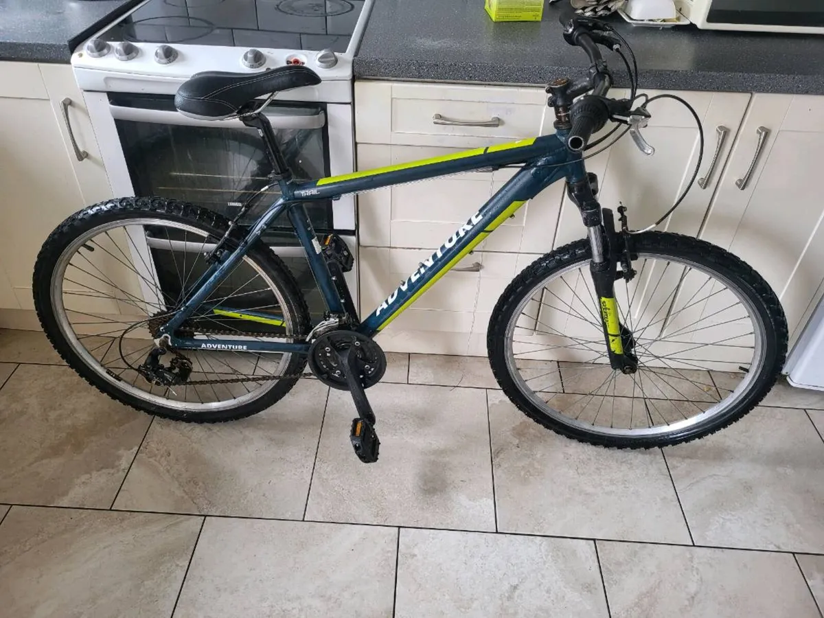 Mountain bike - Image 1