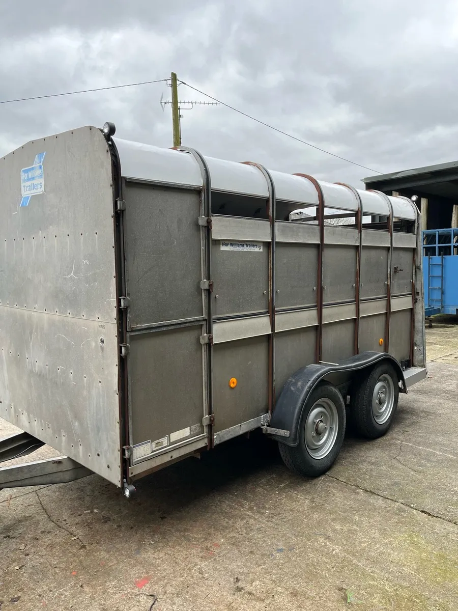 Ifor Williams trailer 12 by 6 - Image 2