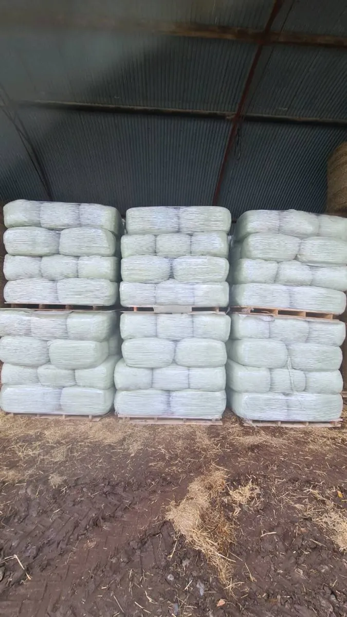 Haylage and hay - Image 1