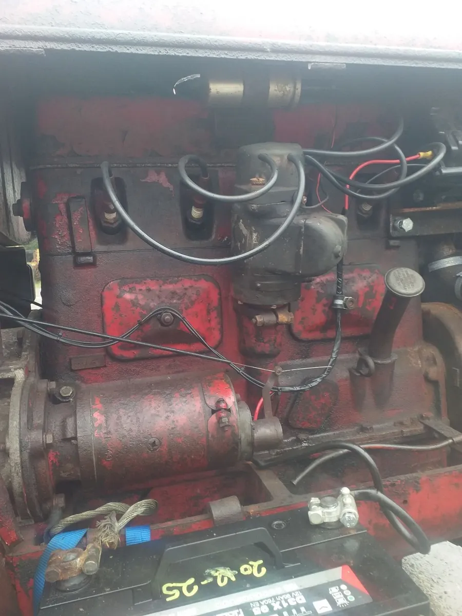 David brown Vintage tractor - Image 4