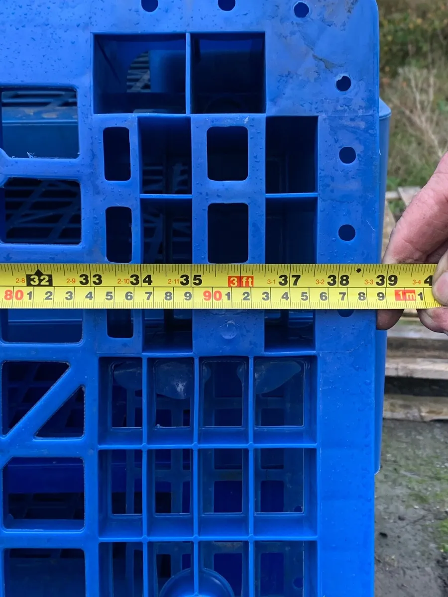 Plastic pallets - Image 3