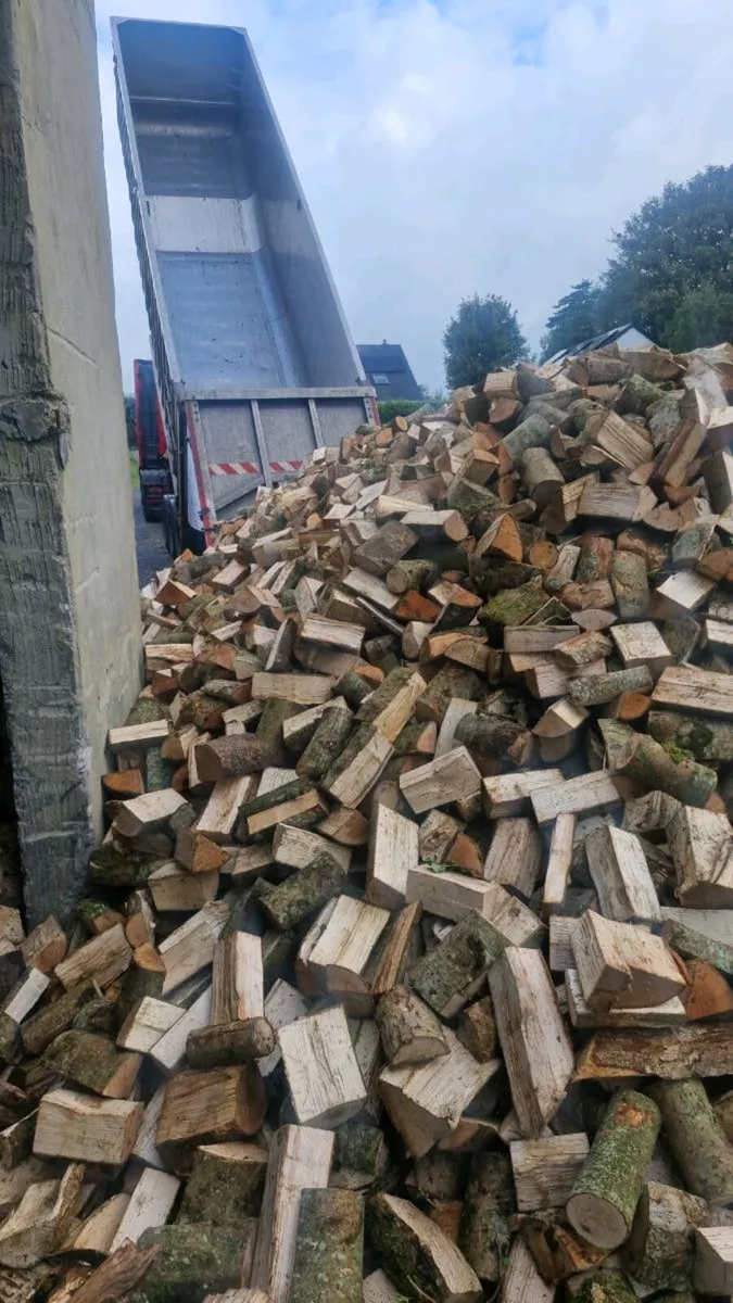 Hardwood timber - Image 2